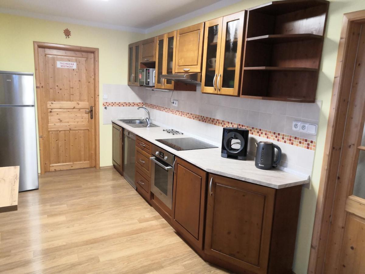 Apartment Lipno Sumava Pro 8 Hostu Липно-над-Влтавой Экстерьер фото